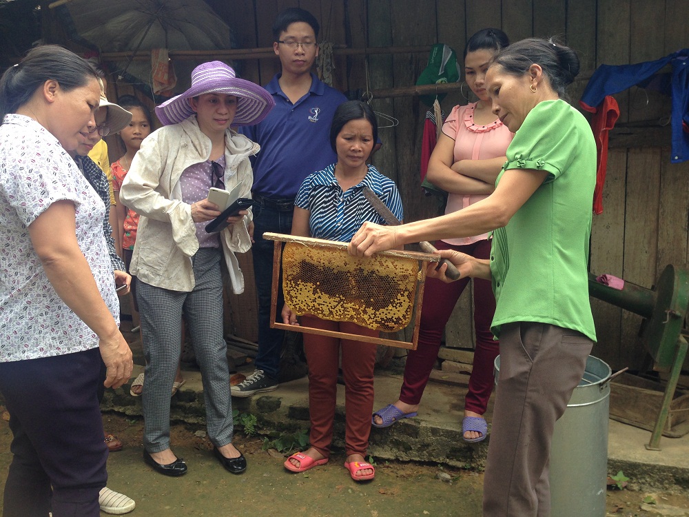 Description: E:ANH CUA VIETADCẢnh chị Huệ lên CAREIMG_3066.JPG