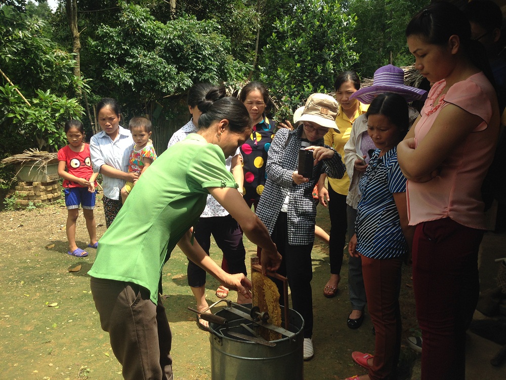 Description: E:ANH CUA VIETADCẢnh chị Huệ lên CAREIMG_3065.JPG