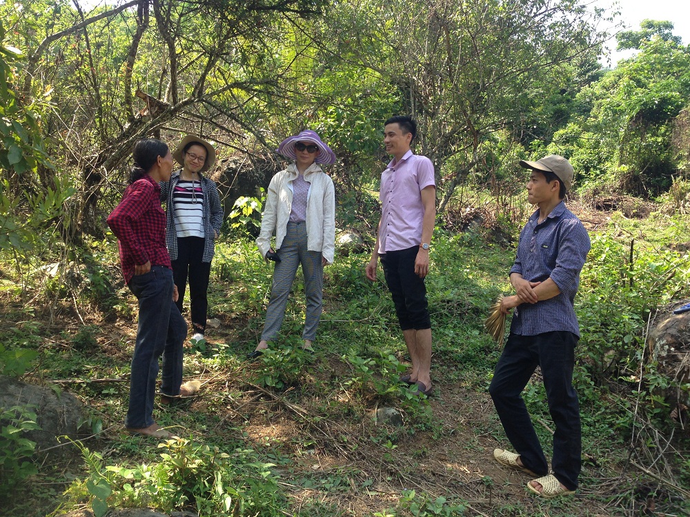 Description: E:ANH CUA VIETADCẢnh chị Huệ lên CAREIMG_3088.JPG